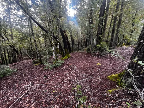 $5,000 | 2149 Goose Road, Willits, CA 95490