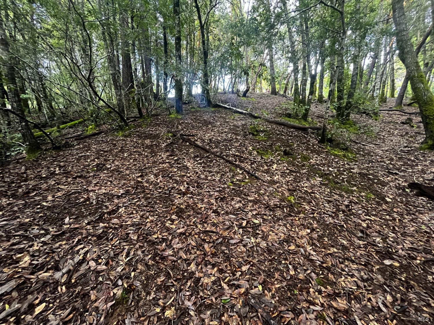 2149 Goose Road Willits, CA 95490 - Photo 6 of 8