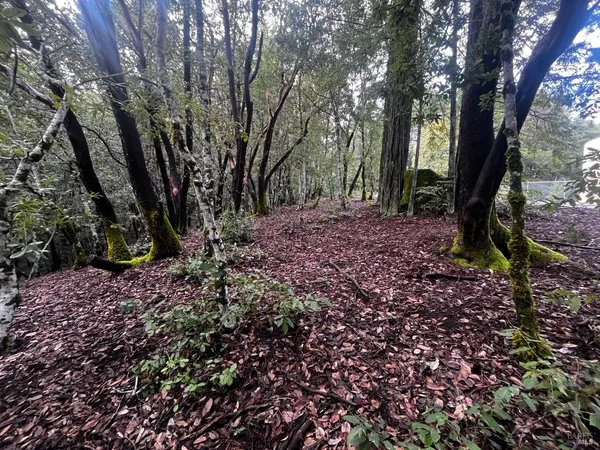 $5,000 | 2149 Goose Road, Willits, CA 95490