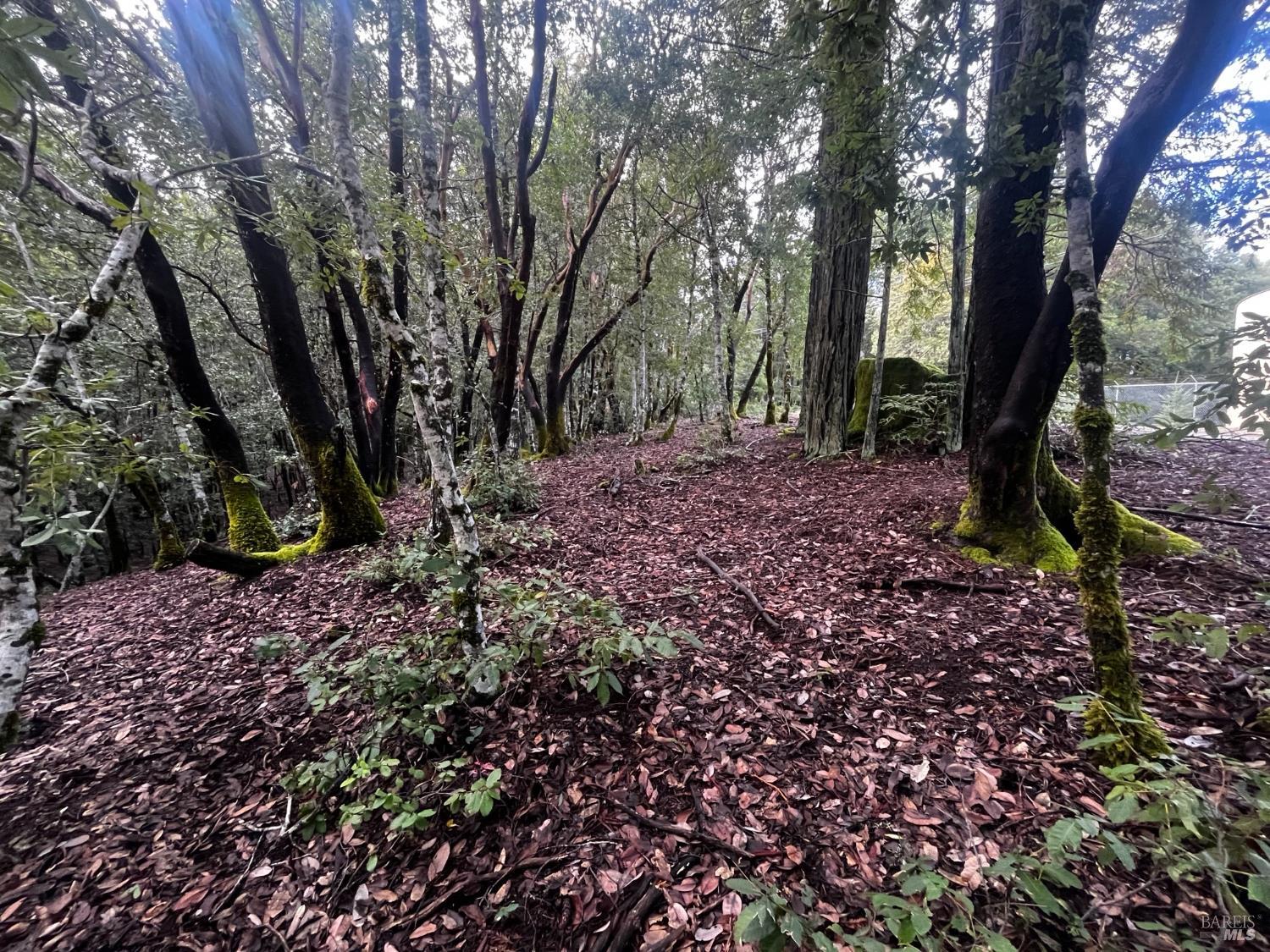 2149 Goose Road Willits, CA 95490 - Photo 7 of 8