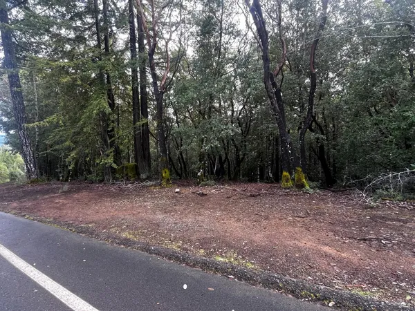 $5,000 | 2149 Goose Road, Willits, CA 95490