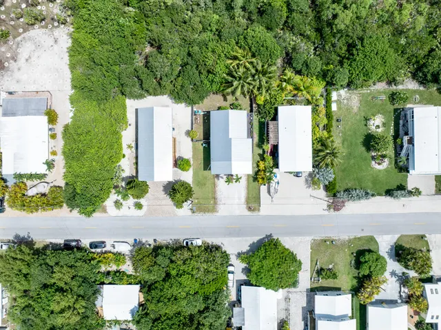 an aerial view of a house with a yard and potted plants