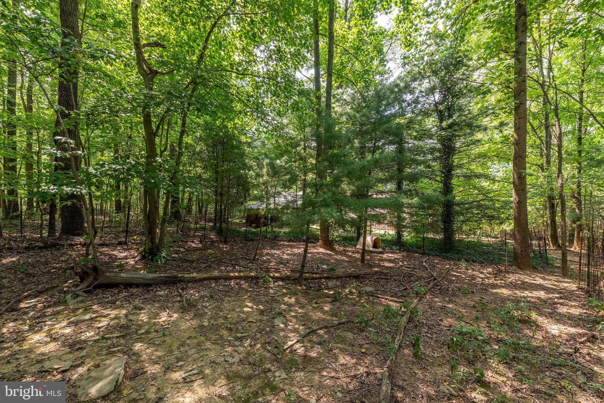 562 Musselman Road Hanover, PA 17331 - Photo 45 of 53