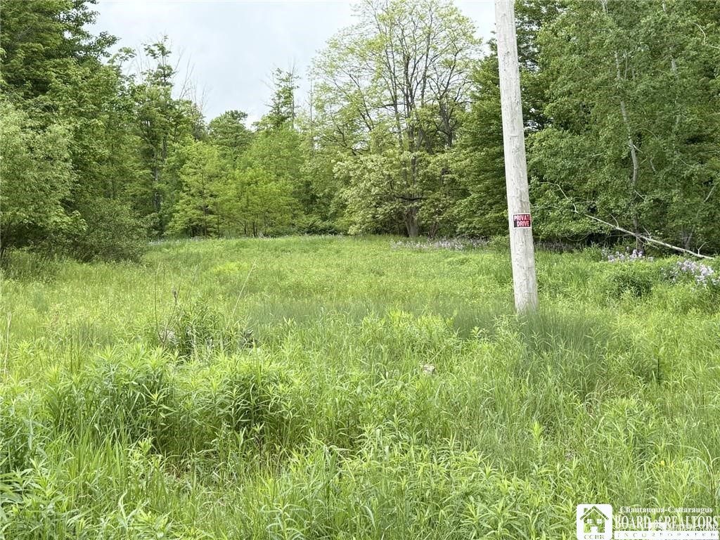 0 Luce Road Bemus Point, NY 14712 - Photo 13 of 39