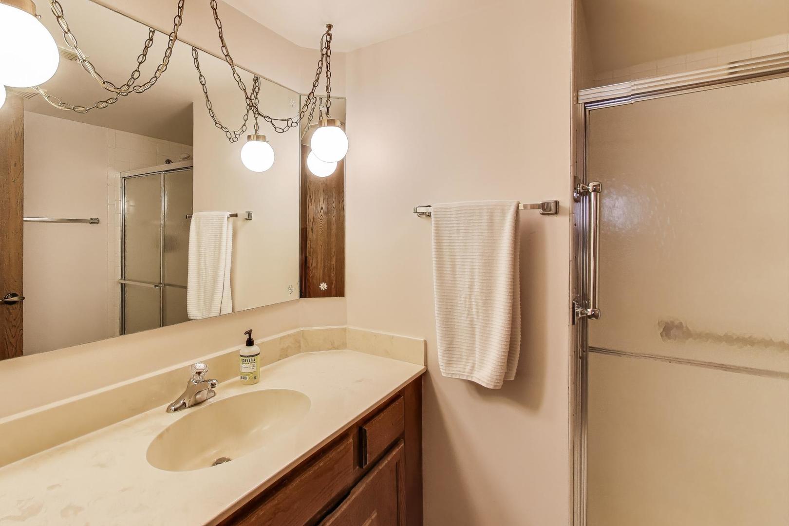 462 South President Street, Unit 202 Carol Stream, IL 60188 - Photo 17 of 26 a bathroom with a sink vanity and a mirror