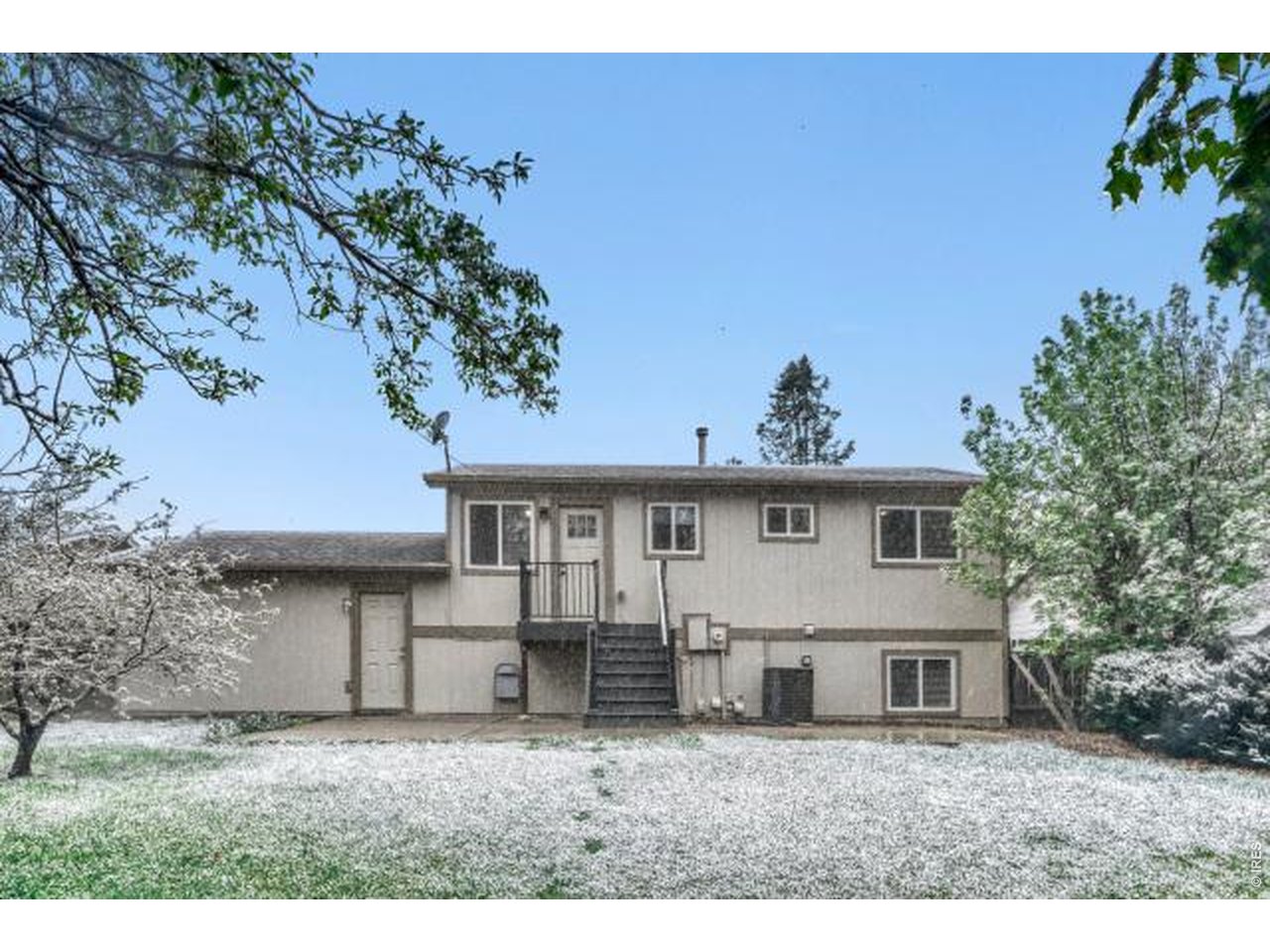 10748 Routt Street Broomfield, CO 80021 - Photo 28 of 30 a house that has a tree in front of it