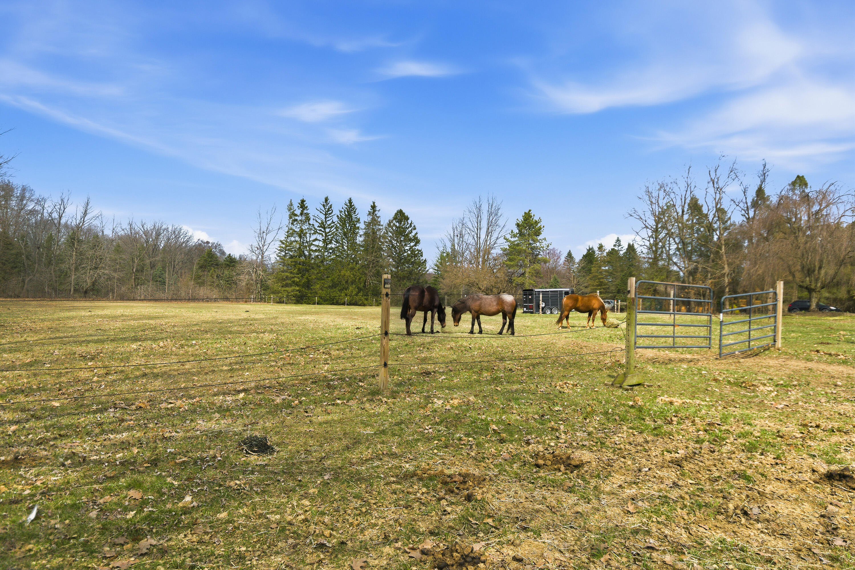 58765 Travis Road New Hudson, MI 48165 - Photo 29 of 31 Travis_49