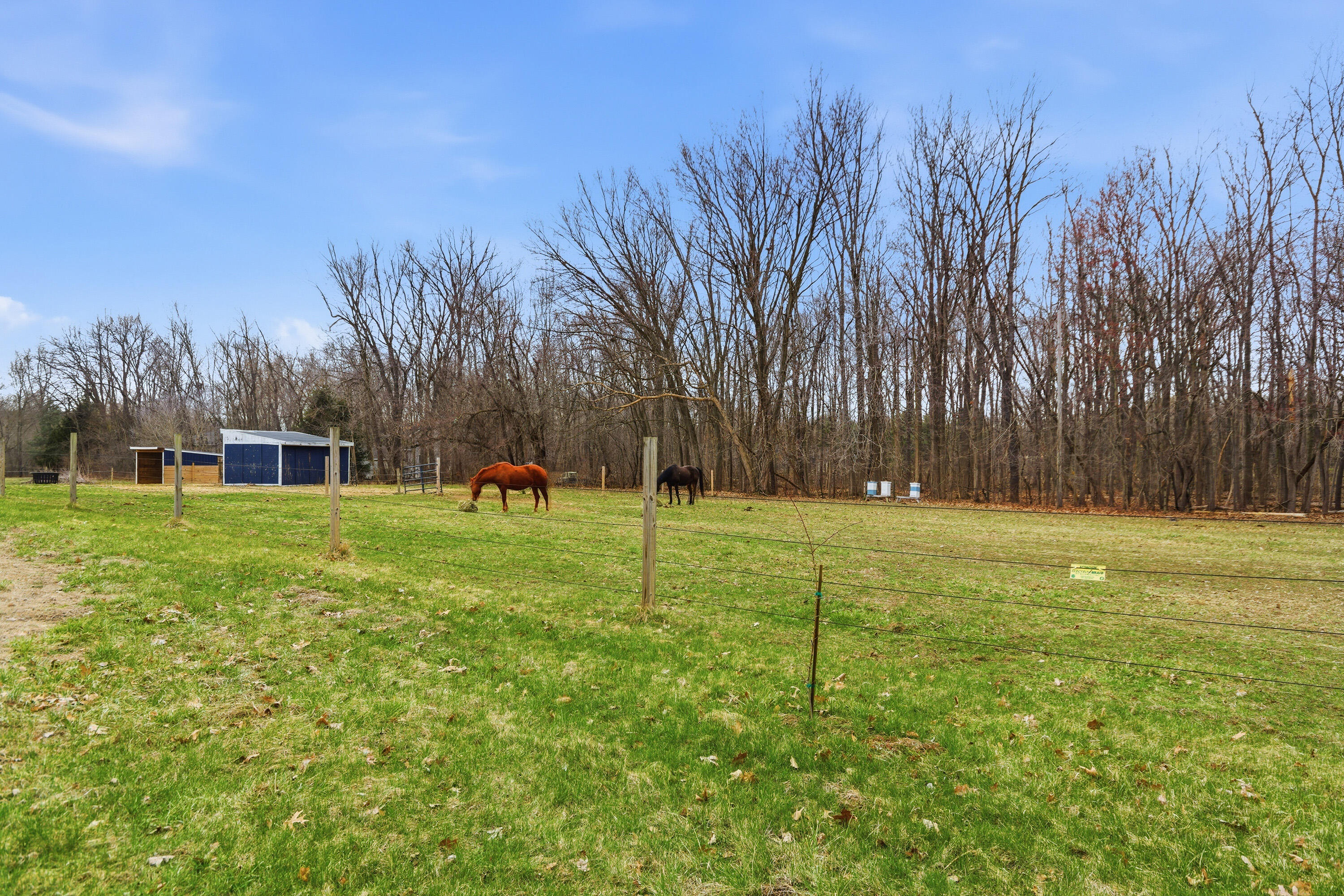 58765 Travis Road New Hudson, MI 48165 - Photo 4 of 31 Travis_60