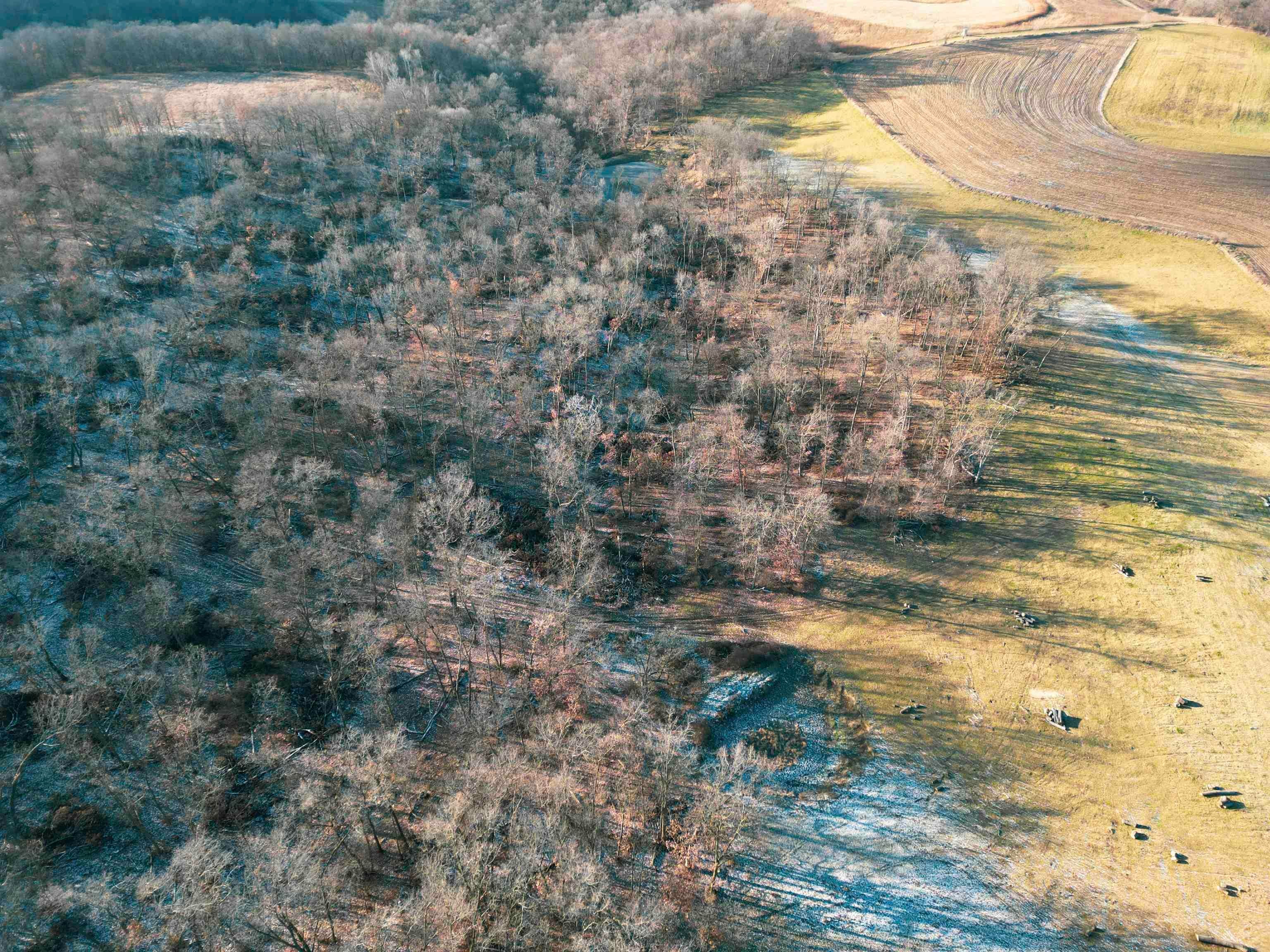 0 Lycurgus Road Waukon, IA 52172 - Photo 7 of 24 Gallery Image 7