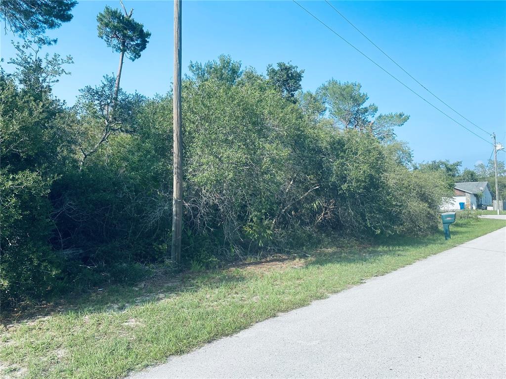 1083 Stratton Avenue Spring Hill, FL 34609 - Photo 1 of 1 a view of a back yard