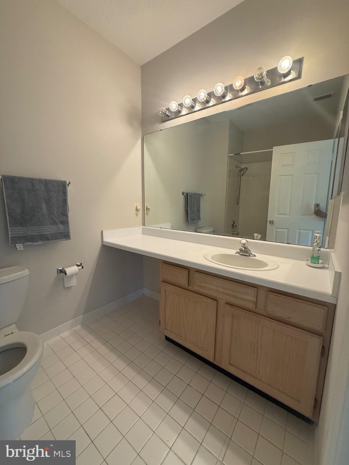 12012 Taliesin Place, Unit 24 Reston, VA 20190 - Photo 15 of 21 a bathroom with a sink and a mirror