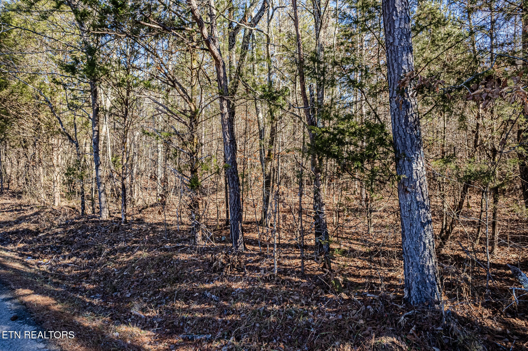 5 South NoPone Vly Road Athens, TN 37303 - Photo 3 of 12 Gallery Image 3