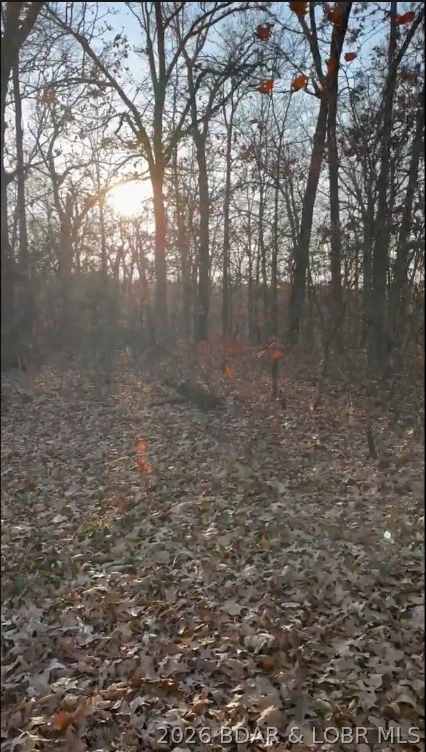 22920 Fresno Road Versailles, MO 65084 - Photo 6 of 6