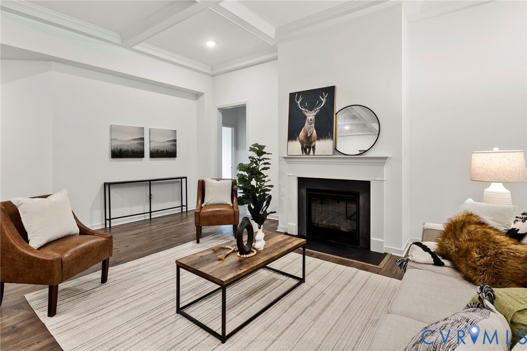 13030 Alsandair Drive Chesterfield, VA 23838 - Photo 14 of 33 Living room featuring a fireplace with flush heart
