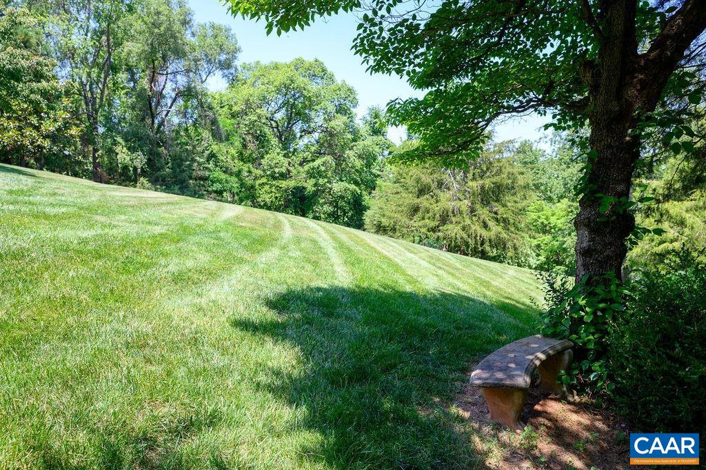3470 Rocks Mill Lane Charlottesville, VA 22903 - Photo 56 of 72 a view of a yard with plants and a large tree