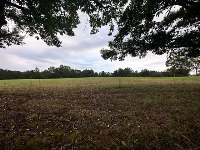 1470 Lee Peters Road Loganville, GA 30052 - Photo 3 of 3 a view of a lake with houses in the back