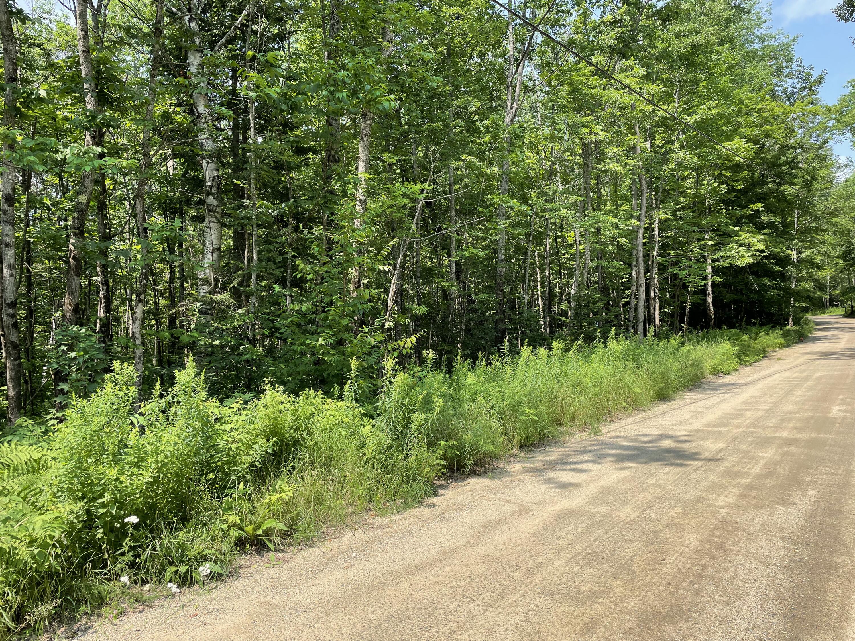 53.1 Center Hill Road Weld, ME 04285 - Photo 1 of 12 IMG_3431