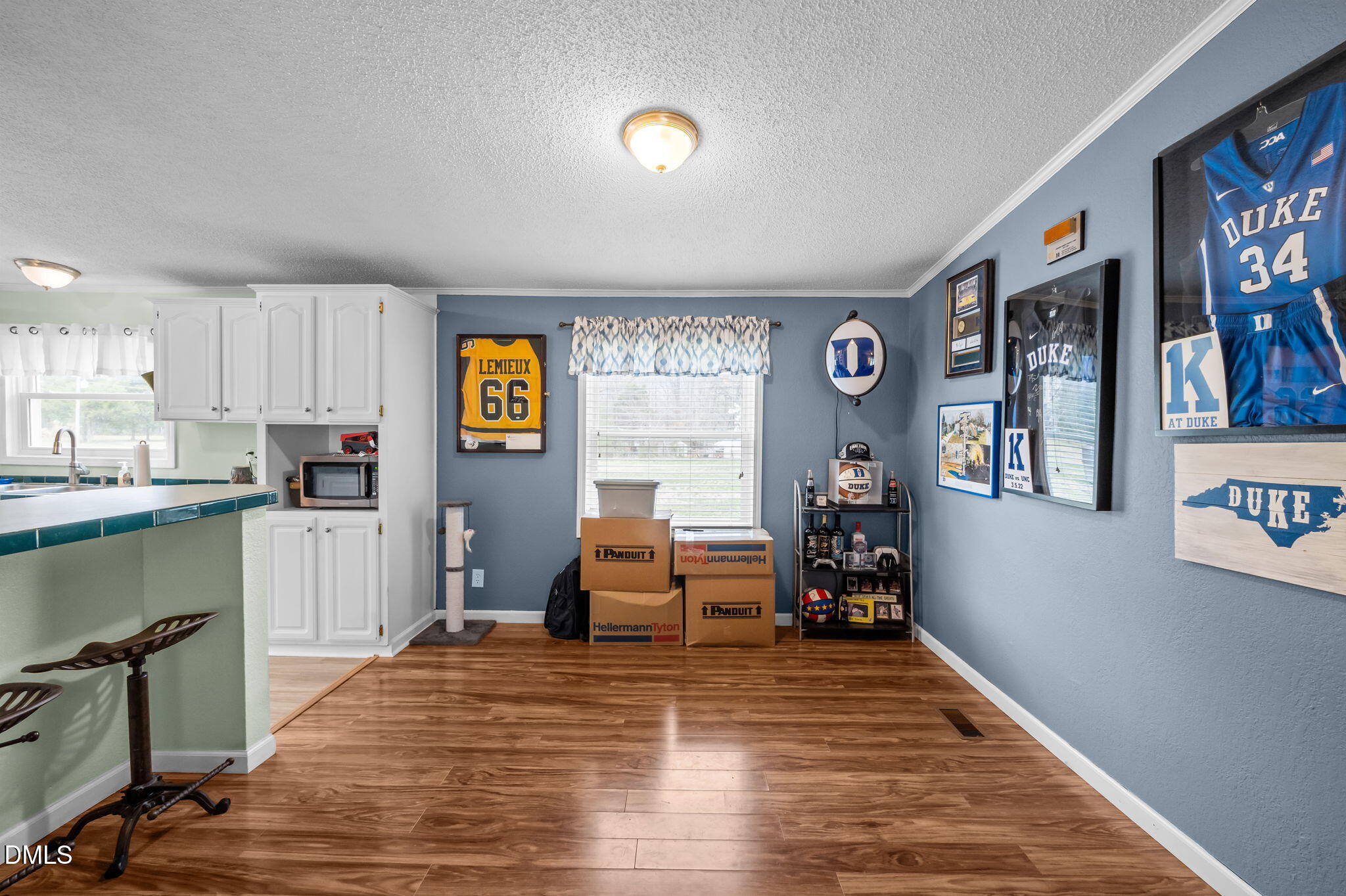 170 Blue Devil Road Timberlake, NC 27583 - Photo 33 of 54 33-web-or-mls-P1110543