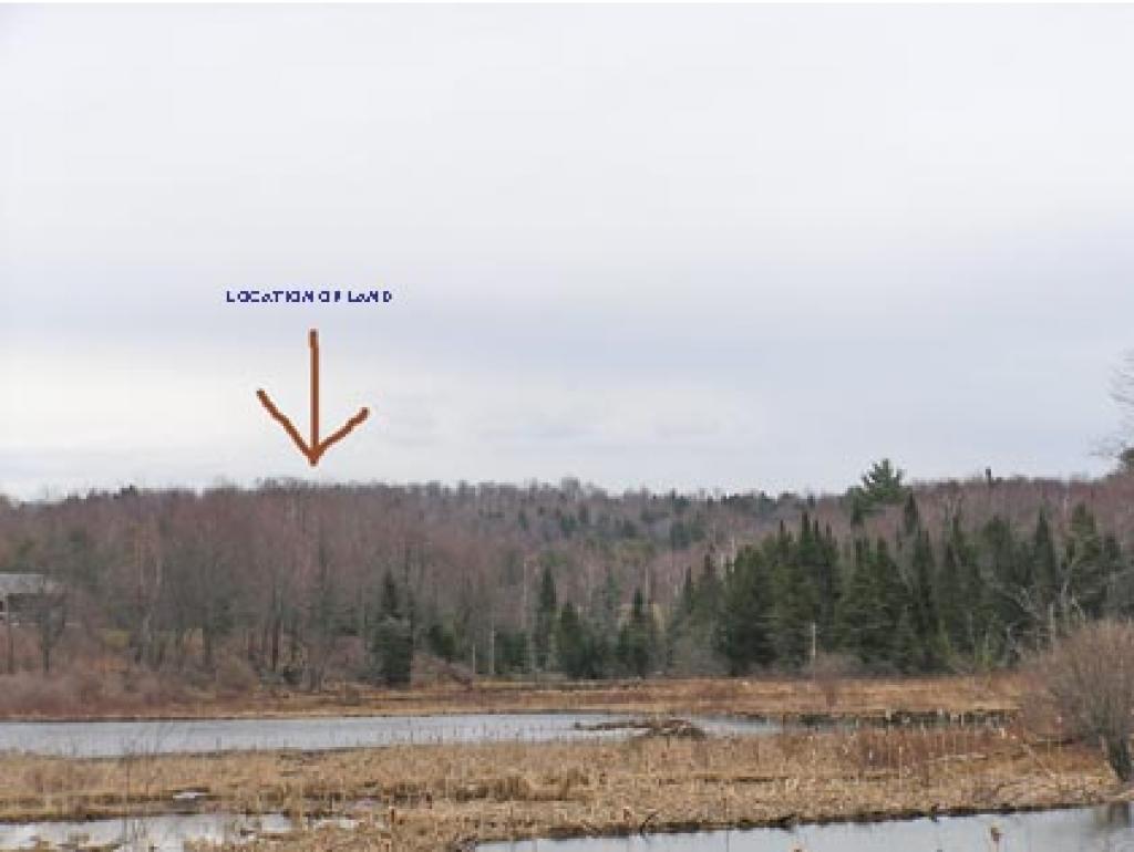 0 Tjader Road Wolcott, VT 05680 - Photo 4 of 5