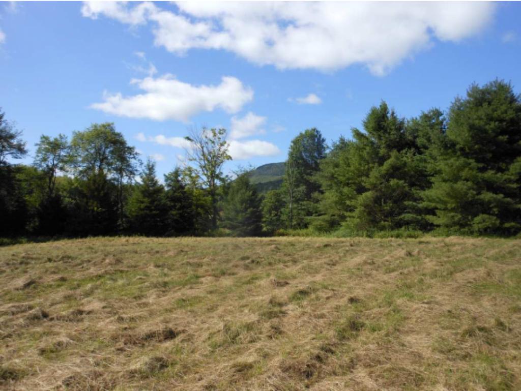 0 Tjader Road Wolcott, VT 05680 - Photo 5 of 5