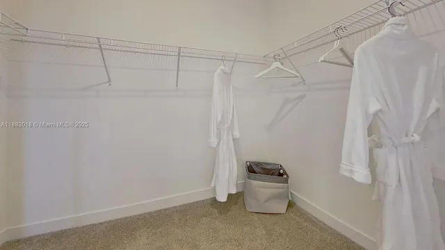 a bathroom with a shower and toilet