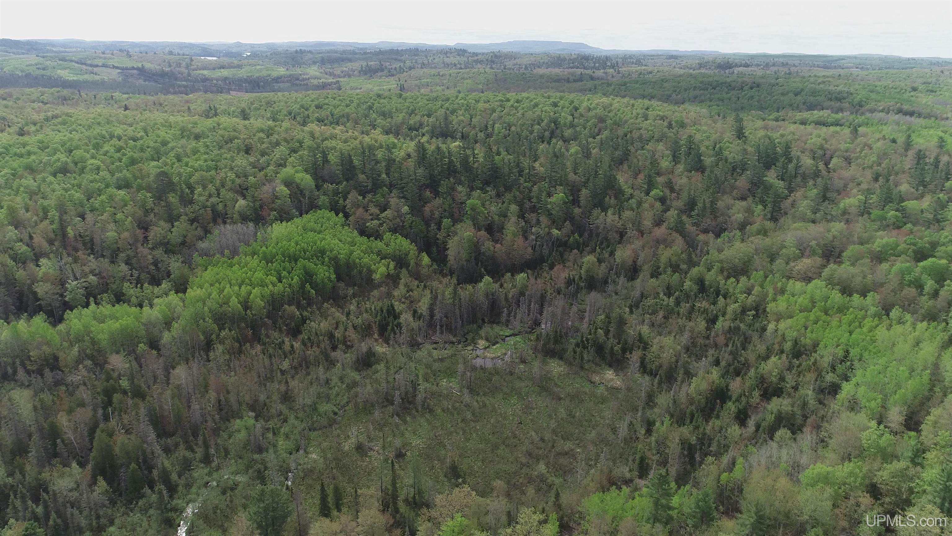 280-acres County Road CCN Road Negaunee, MI 49866 - Photo 13 of 48