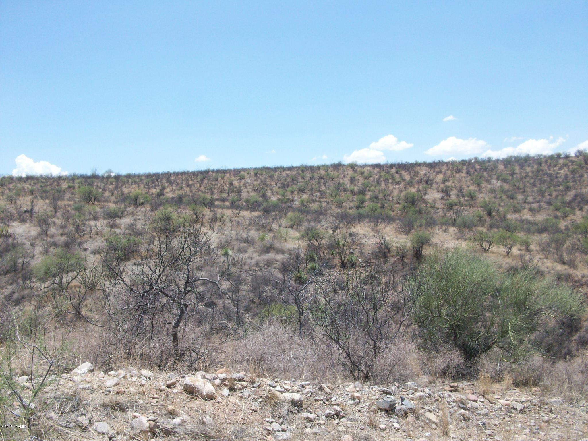 120 Camino Talavera, Unit 123 Rio Rico, AZ 85648 - Photo 4 of 6