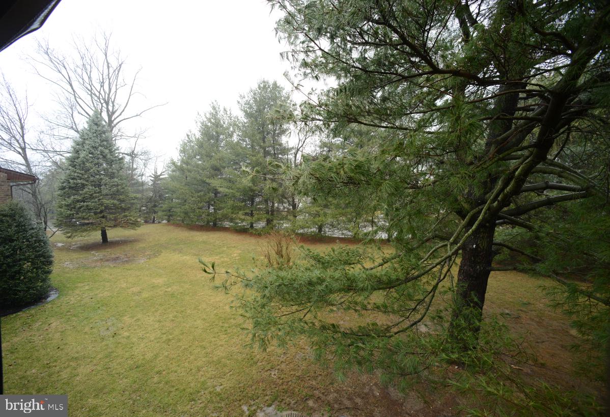 203 Raintree Lane, Unit 203 Malvern, PA 19355 - Photo 23 of 25 Gallery Image 23
