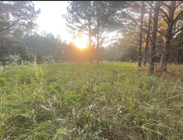 762 Co Road Walnut, MS 38683 - Photo 31 of 41 Screenshot 2024-09-23 124254