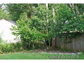 88 Windsor Road Springfield, IL 62702 - Photo 8 of 19