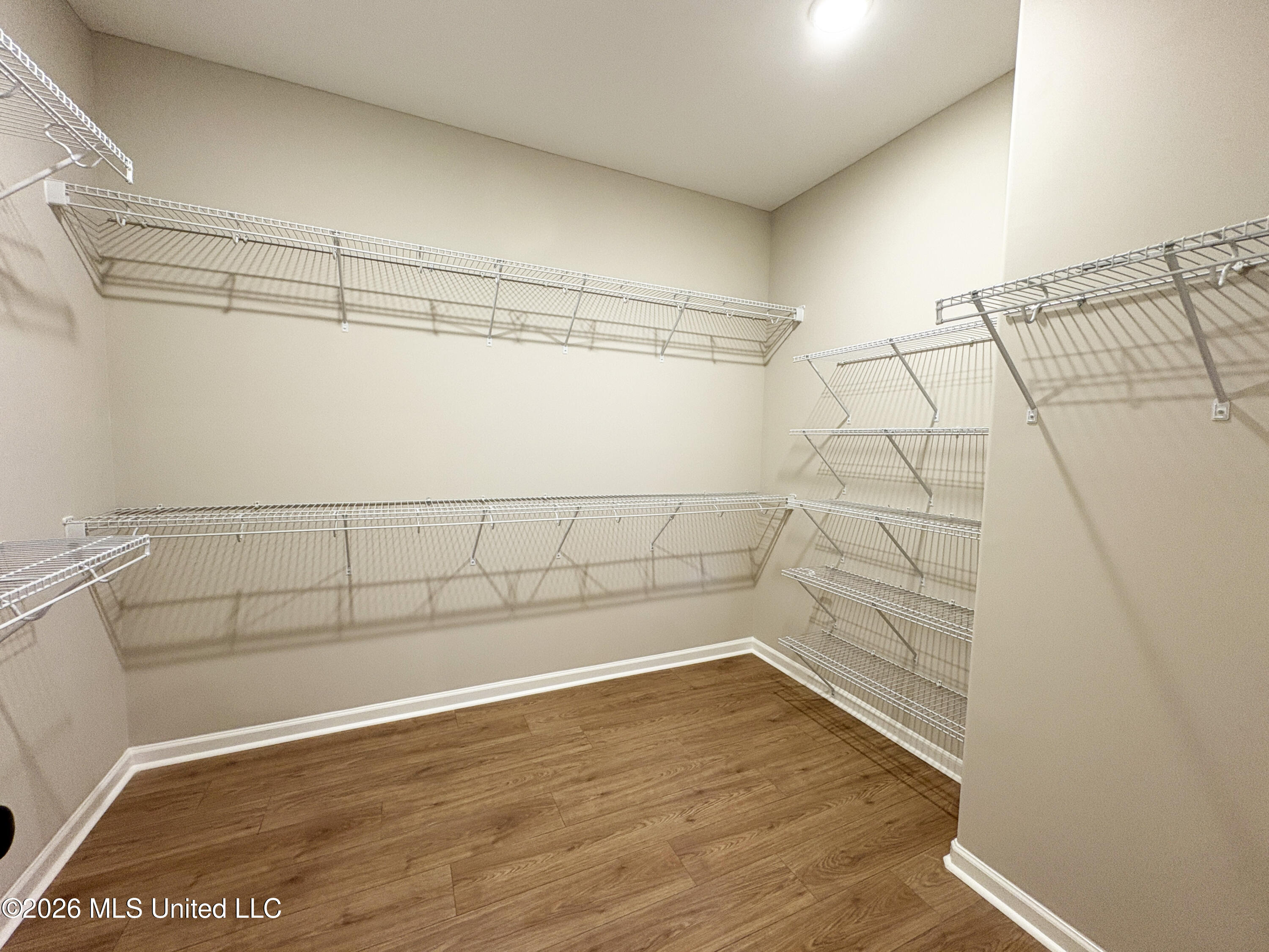 3491 Hatton Drive Nesbit, MS 38651 - Photo 11 of 20 Primary Closet