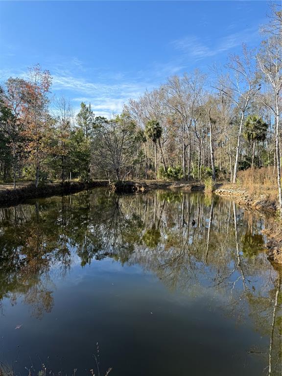 0 Clayton Road Cedar Key, FL 32625 - Photo 13 of 19 a view of lake