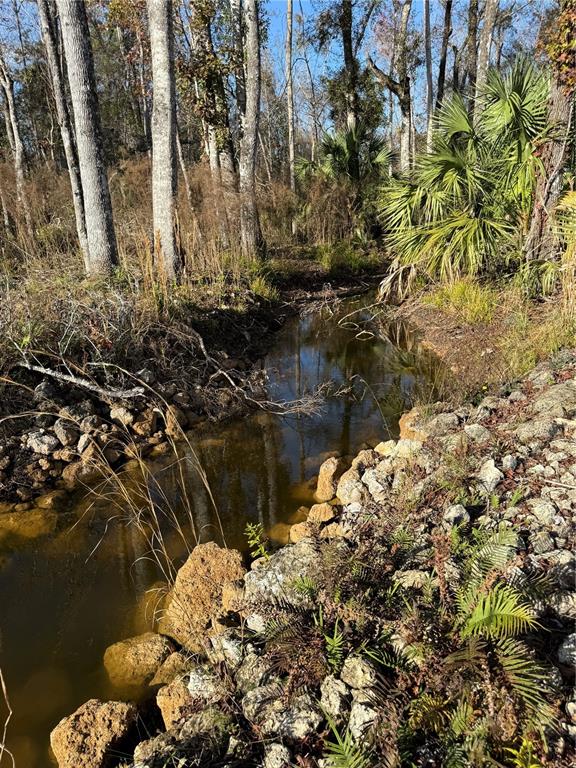 0 Clayton Road Cedar Key, FL 32625 - Photo 15 of 19 a view of lake