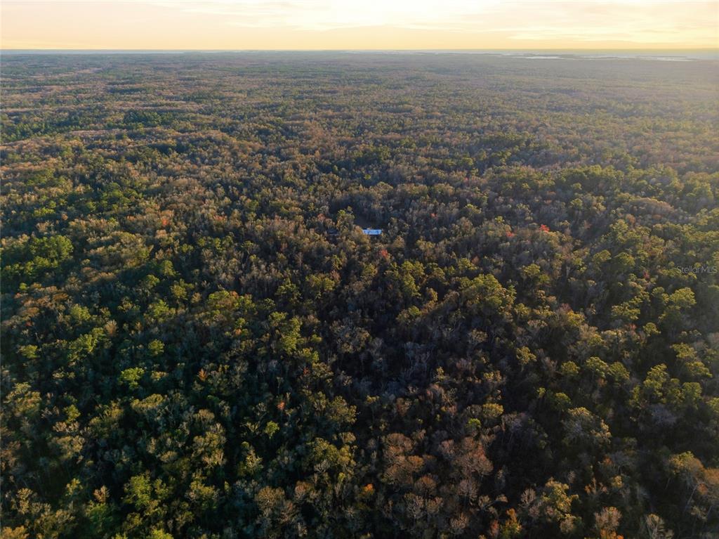 0 Clayton Road Cedar Key, FL 32625 - Photo 19 of 19 an aerial view of house with yard and mountain view in back