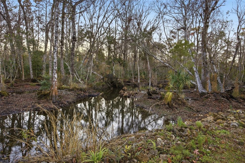 0 Clayton Road Cedar Key, FL 32625 - Photo 10 of 19 a view of forest
