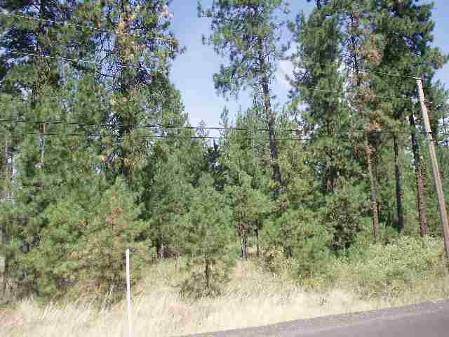 0 South Malloy Prairie Road Cheney, WA 99004 - Photo 1 of 1