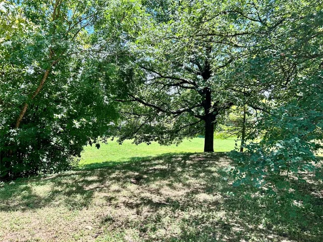 a big yard with lots of green space and house
