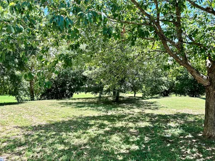a view of outdoor space with trees all around