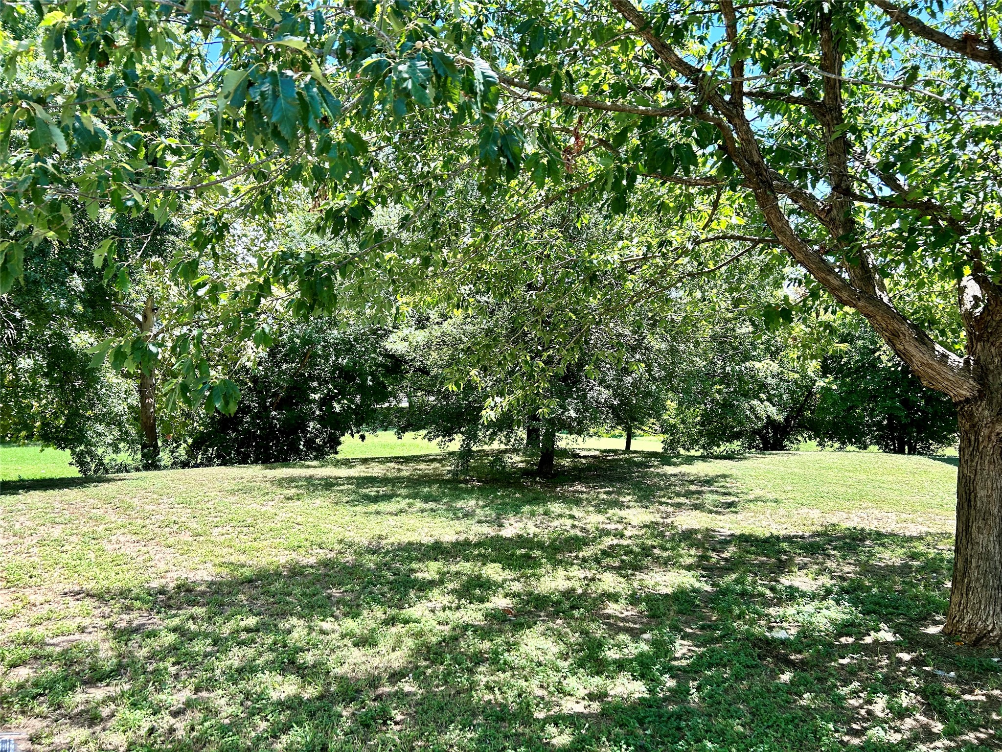 9509 Kempler Drive Austin, TX 78748 - Photo 12 of 12 a view of outdoor space with trees all around