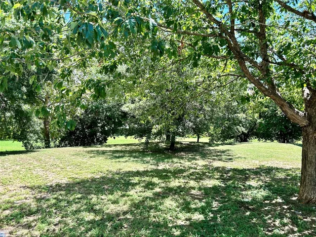 a view of outdoor space with trees all around