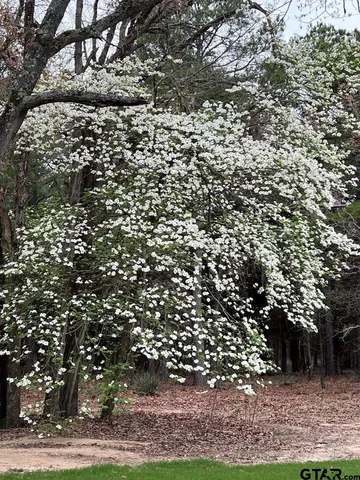 a view of an ocean view