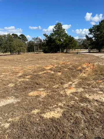 a view of a tree in the middle of a yard
