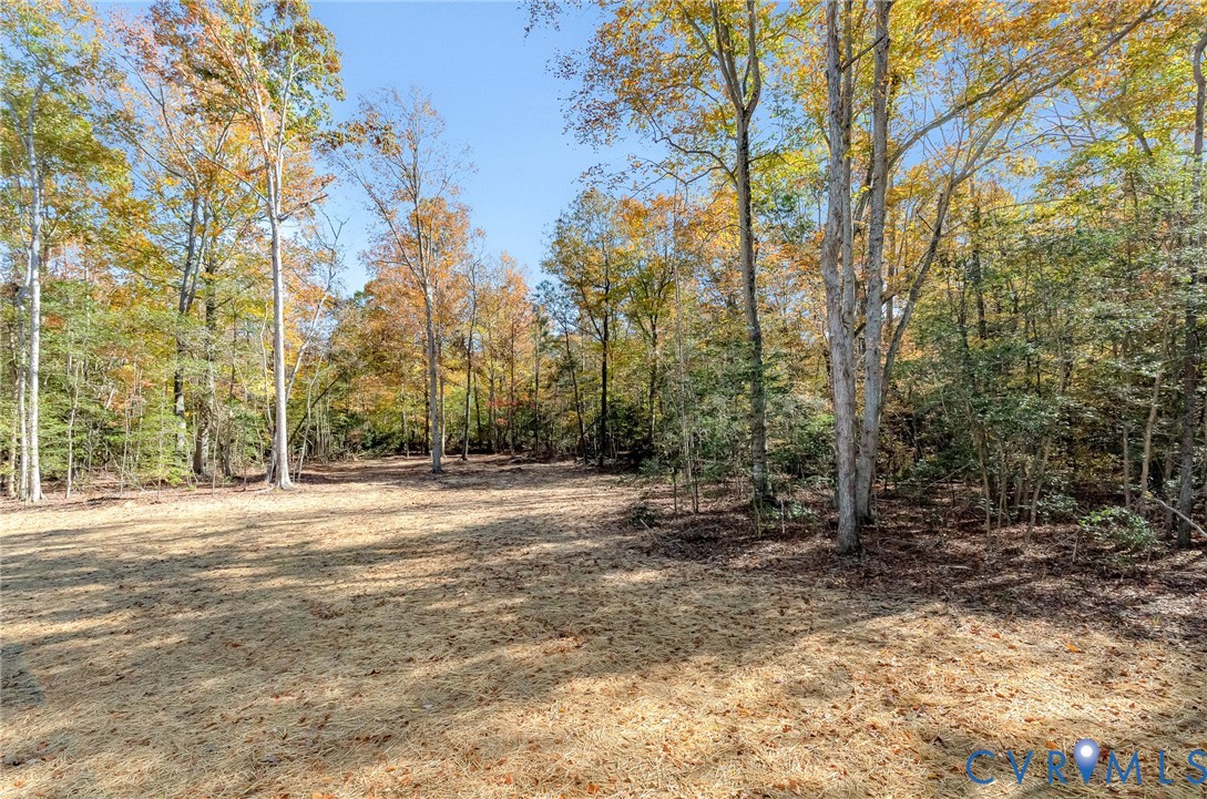Tbd Lot 27 Mantapike Landing Road Stevensville, VA 23161 - Photo 9 of 44