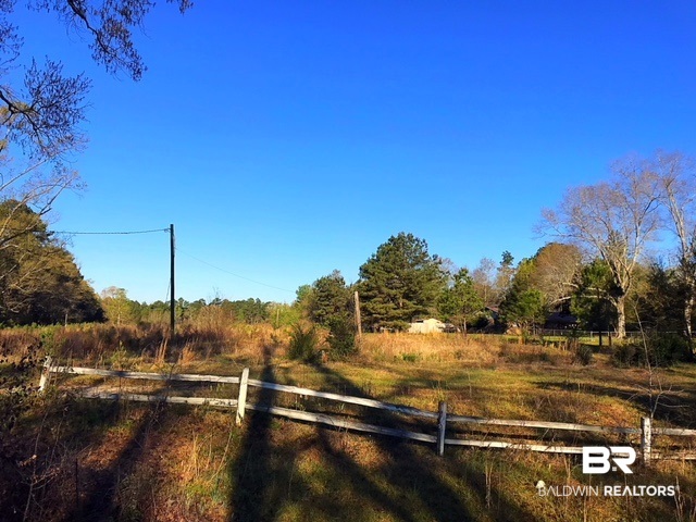 3005 Old Castleberry Road Brewton, AL 36426 - Photo 3 of 3