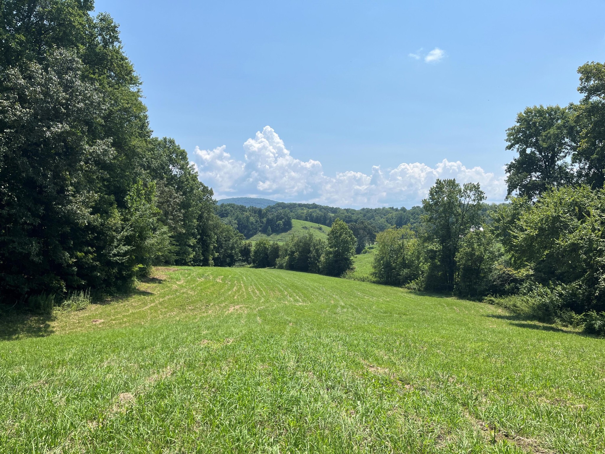 0 Whaley Road Sevierville, TN 37876 - Photo 3 of 5 Gallery Image 3