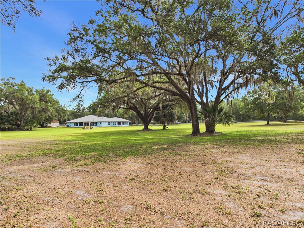 10274 North Rousseau Drive Dunnellon, FL 34433 - Photo 64 of 72