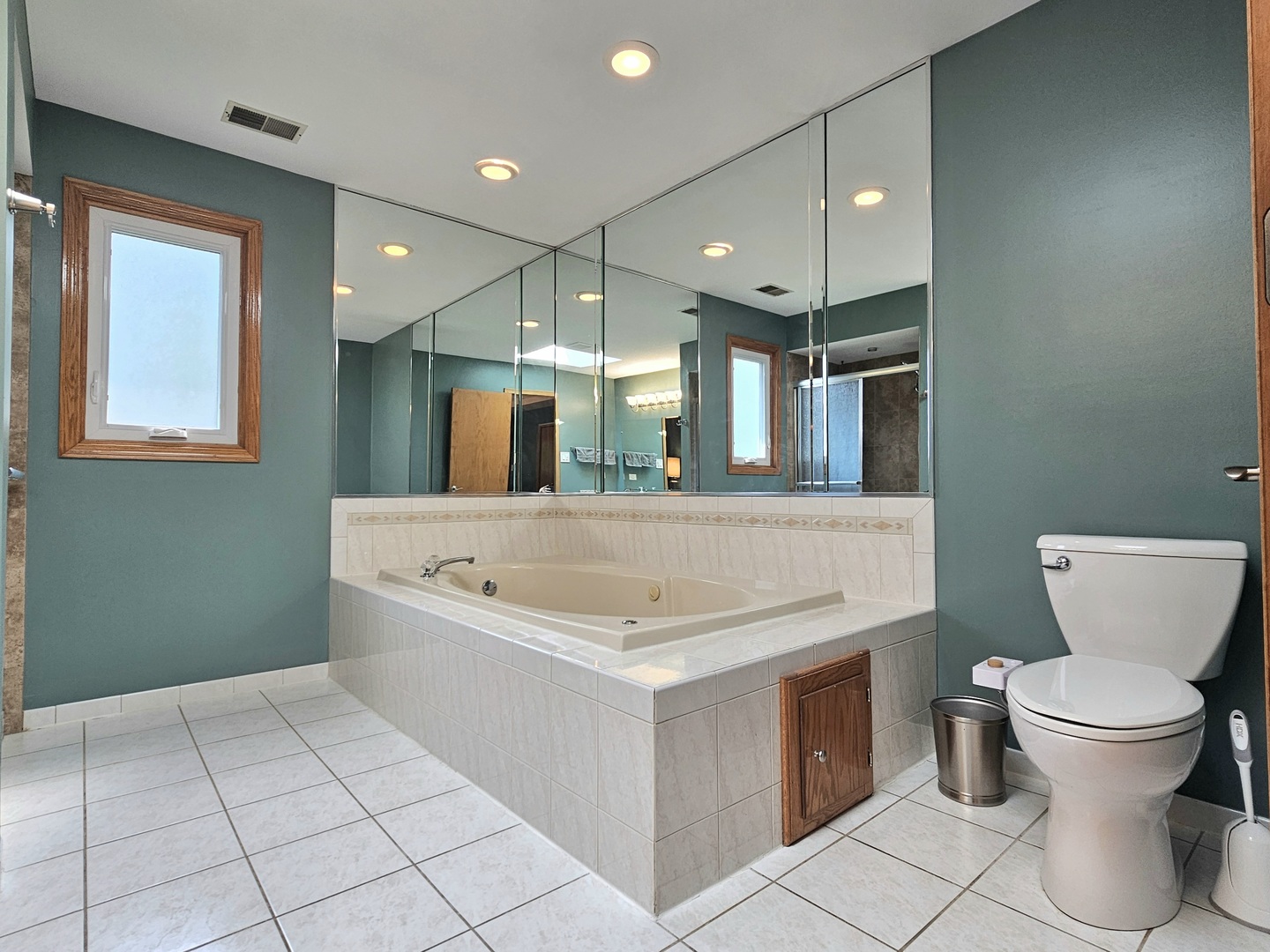 19451 Lancaster Drive Mokena, IL 60448 - Photo 21 of 32 a bathroom with a sink a toilet and a mirror