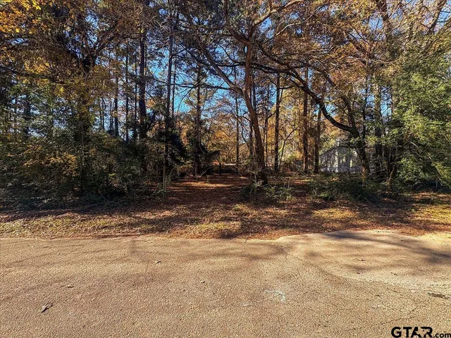 a view of yard with trees