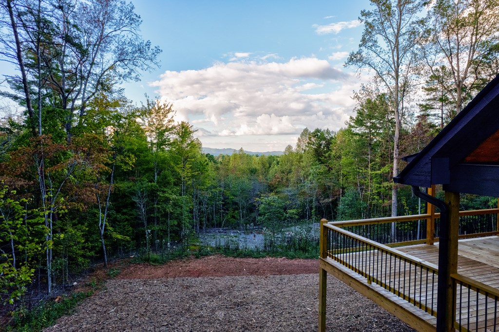 3448 Lickskillet Road Epworth, GA 30541 - Photo 48 of 71 a view of a roof deck with wooden fence and trees