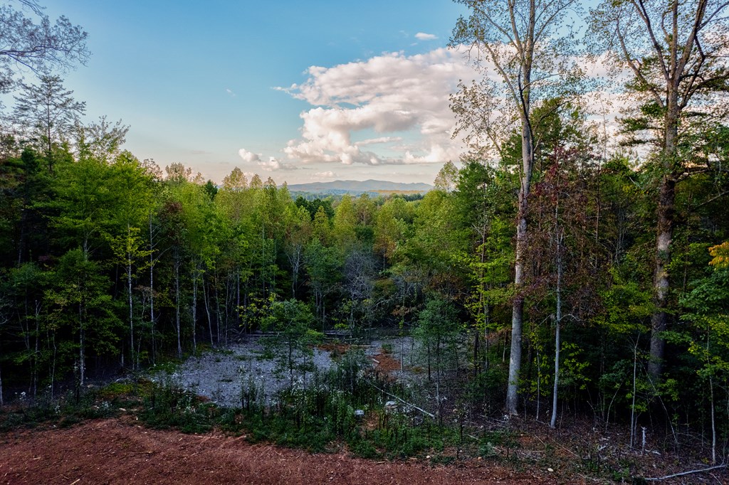 3448 Lickskillet Road Epworth, GA 30541 - Photo 59 of 71 a view of a garden